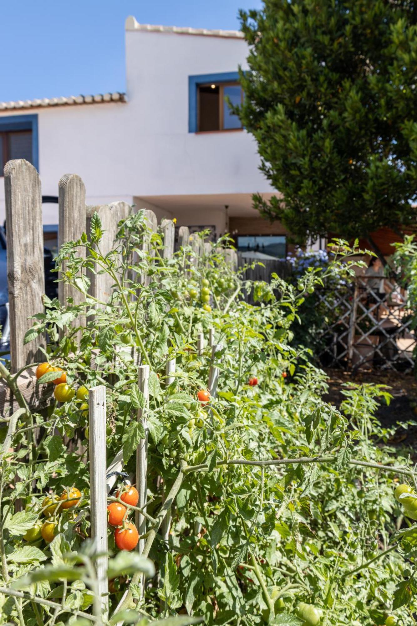 Finca La Marina Denia Eksteriør bilde